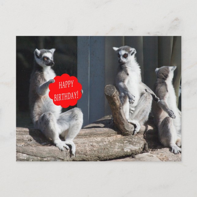 Grattis på födelsedagen Katta Vykort (Framsida)