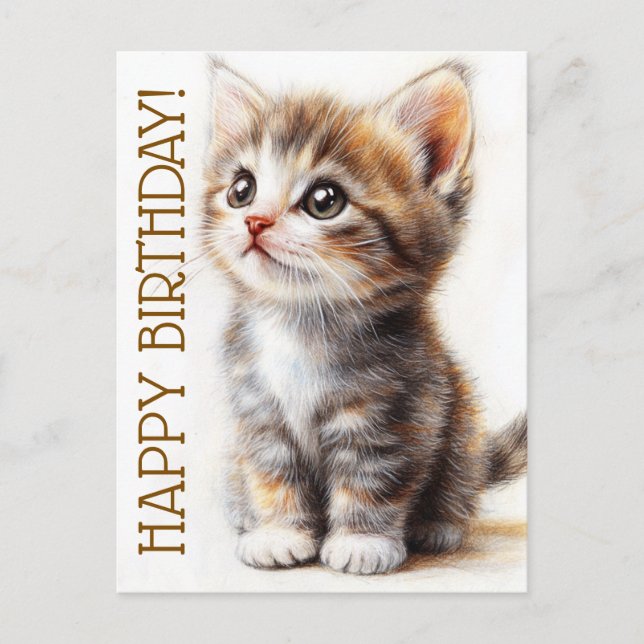 Grattis på födelsedagen, kattdam, kattälskare, gra vykort (Framsida)