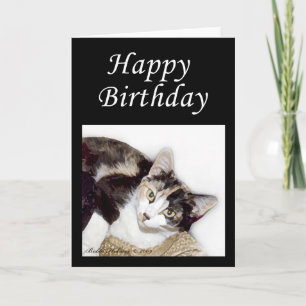 Grattis på födelsedagen Kattunge Kort