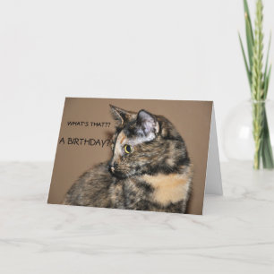 Grattis på födelsedagen Kattunge-kort Kort
