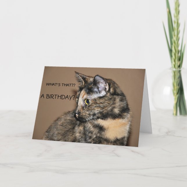 Grattis på födelsedagen Kattunge-kort Kort (Framsida)
