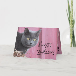 Grattis på födelsedagen Kattunge-kort Kort