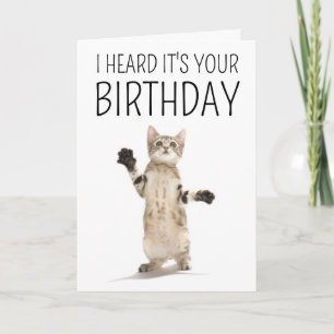 Grattis på födelsedagen Kattunge på vitt Kort