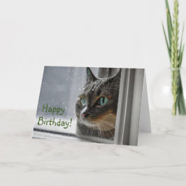 Grattis på födelsedagen Kattunge Tack Kort