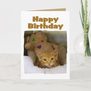 Grattis på födelsedagen Kitten Kort