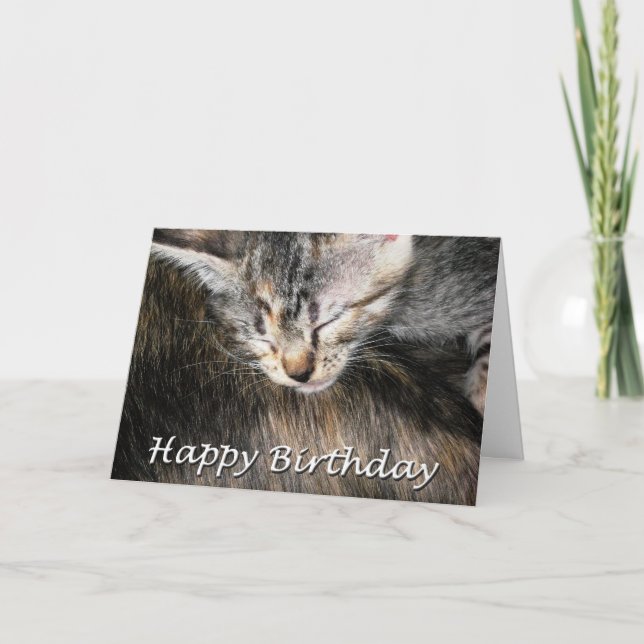 Grattis på födelsedagen Kitten och Katt Kort (Framsida)