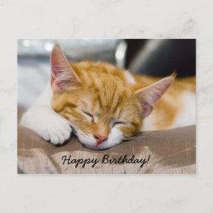 Grattis på födelsedagen Kitten Vykort