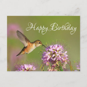 Grattis på födelsedagen Kolibri Vykort