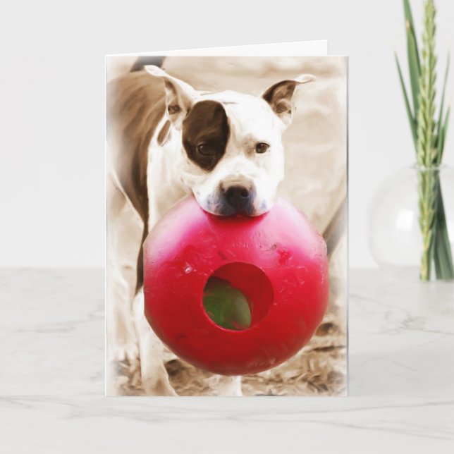 Grattis på födelsedagen kort (Framsida)