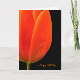 Grattis på födelsedagen kort