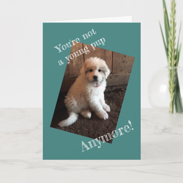 Grattis på födelsedagen kort (Framsida)