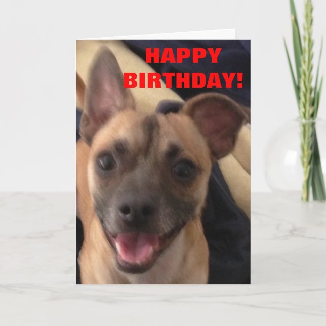 GRATTIS PÅ FÖDELSEDAGEN! KORT (Framsida)