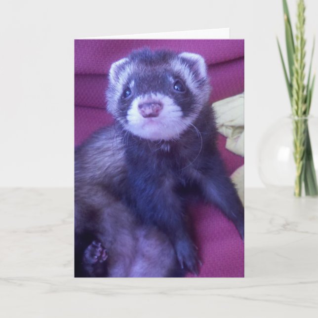 Grattis på födelsedagen! kort (Framsida)