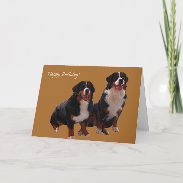 Grattis på födelsedagen kort (Framsida)