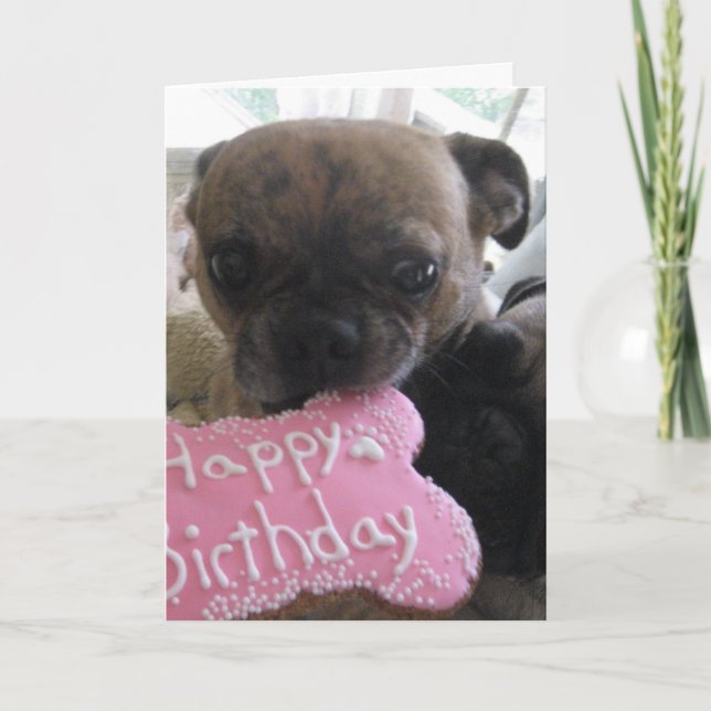 Grattis på födelsedagen kort (Framsida)