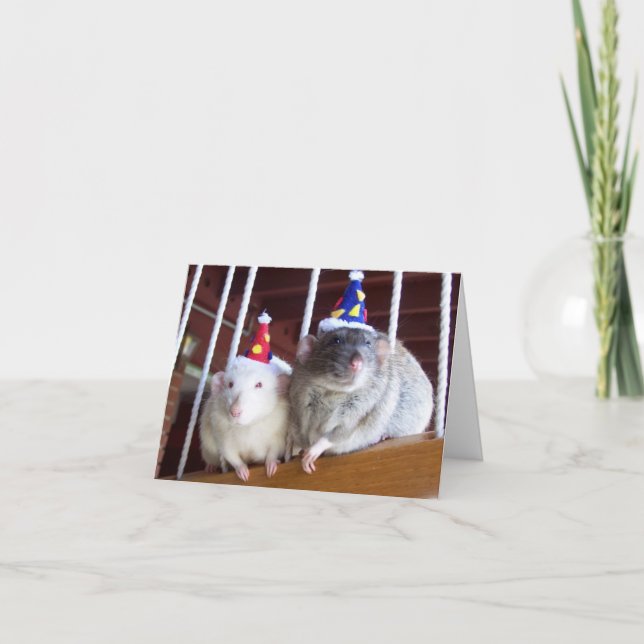 Grattis på födelsedagen kort (Framsida)