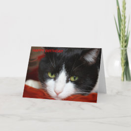 GRATTIS PÅ FÖDELSEDAGEN KORT
