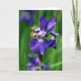 Grattis på födelsedagen kort