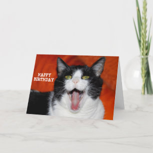 Grattis på födelsedagen kort