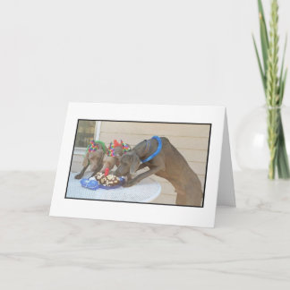 Grattis på födelsedagen kort