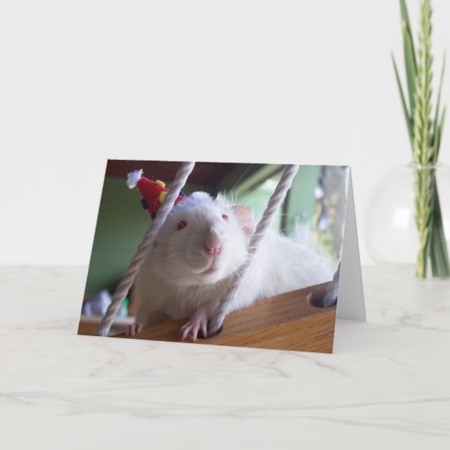 Grattis på födelsedagen kort (Framsida)