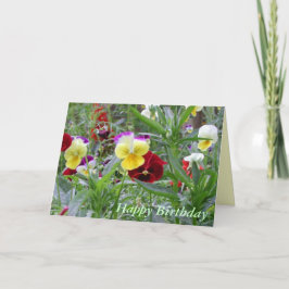 Grattis på födelsedagen kort