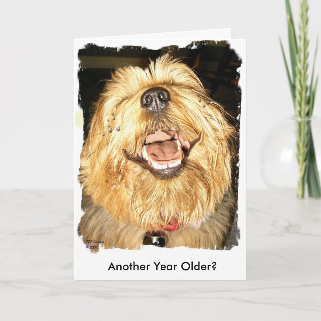 Grattis på födelsedagen kort (Framsida)