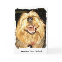 Grattis på födelsedagen