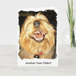 Grattis på födelsedagen kort