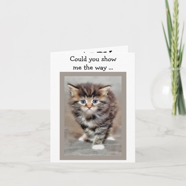 Grattis på födelsedagen-kort: Borttappad Kitten Kort (Framsida)