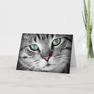 Grattis på födelsedagen-kort: Katten säger "Åh!" Kort