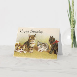 Grattis på födelsedagen-kort - Kittys Kort