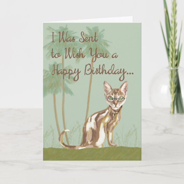 Grattis på födelsedagen-kort med katt, humoristisk kort (Framsida)