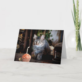 Grattis på födelsedagen-kort med katt kort