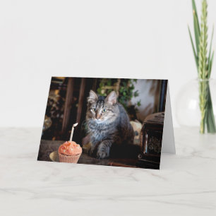 Grattis på födelsedagen-kort med katt kort