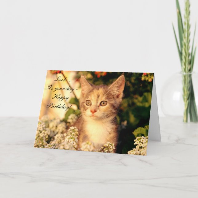 Grattis på födelsedagen-kort med Kitten Kort (Framsida)