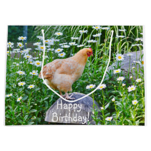 grattis på födelsedagen-kyckling med Daisy