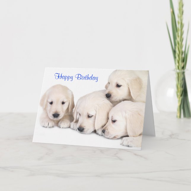 Grattis på födelsedagen Labrador-betalningskort fö Kort (Framsida)