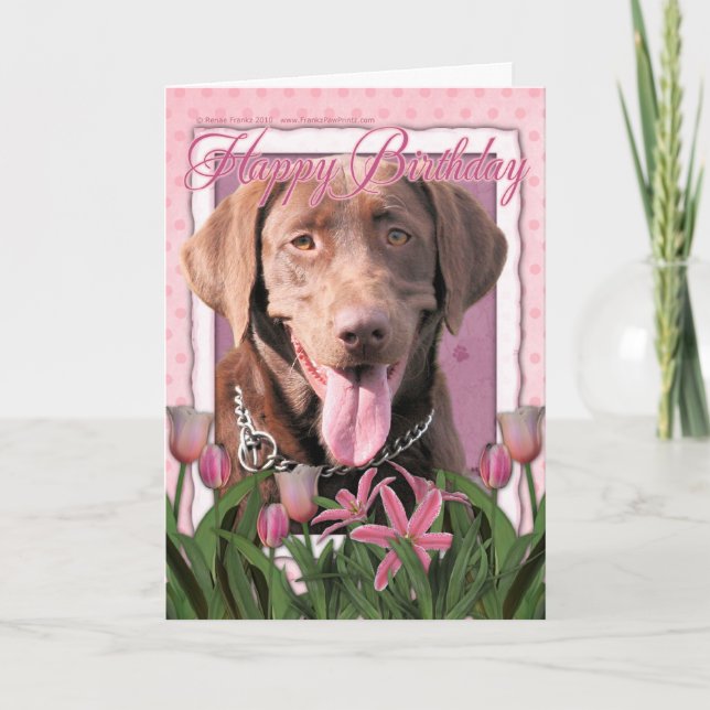 Grattis på födelsedagen - Labrador - choklad Kort (Framsida)