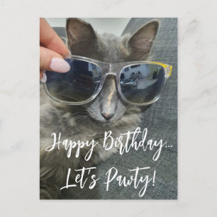 "grattis på födelsedagen låt oss festa" rolig katt vykort