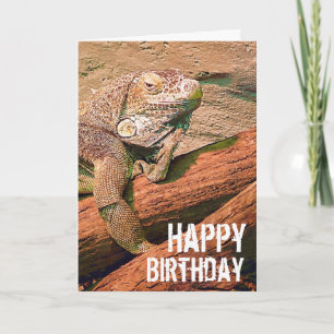 Grattis på födelsedagen - lat vardagsrumödla kort