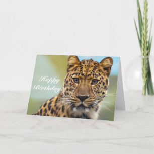 Grattis på födelsedagen Leopard-hälsningskort Kort
