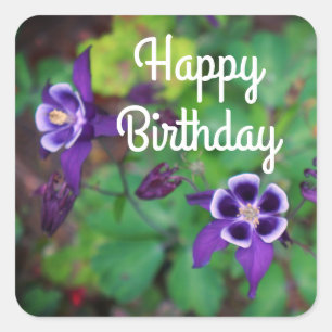 Grattis på födelsedagen Lila Columbine Flowers Sti Fyrkantigt Klistermärke