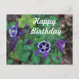 Grattis på födelsedagen Lila Columbine Flowers vyk Vykort