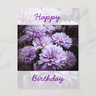 Grattis på födelsedagen - Lila Dimma Chrysanthemum Vykort