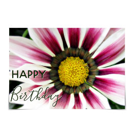 "Grattis på födelsedagen" Lila Gazania Flower Kort