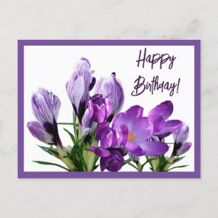 Grattis på födelsedagen lila krocusblommor boho gu vykort