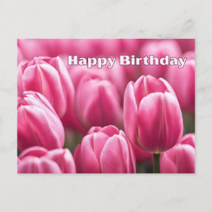 Grattis på födelsedagen Livfulla rosa tulpaner  Vykort