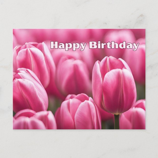 Grattis på födelsedagen Livfulla rosa tulpaner  Vykort (Framsida)
