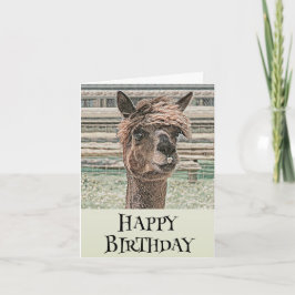 Grattis på födelsedagen Llama - födelsedagskort Kort